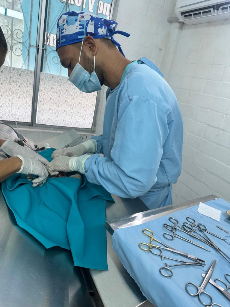 pets-clinical-centro-medico-veterinario-palmira-4