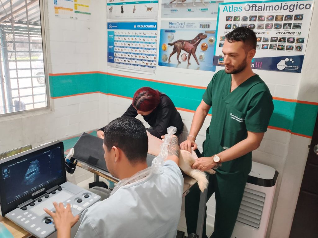 pets-clinical-centro-medico-veterinario-palmira-6